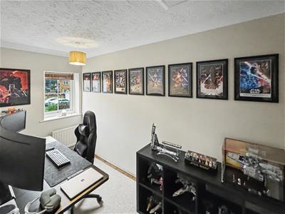 Picture 7